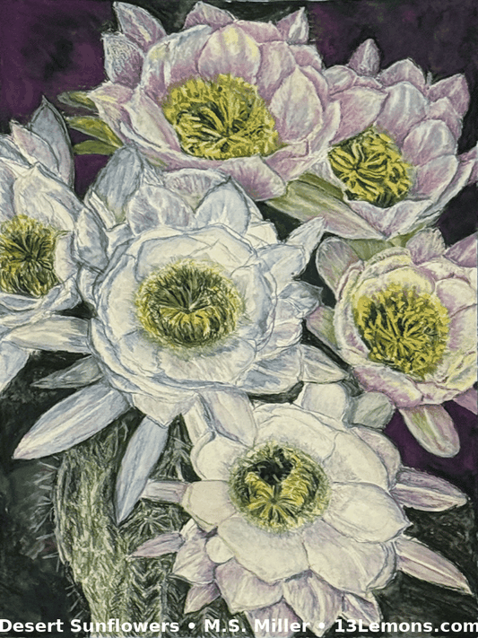 Desert Sunflowers | Cactus Flower Fine Art by M.S. Miller