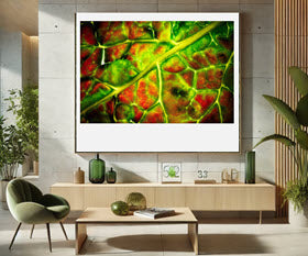 Alien Glow by David Manzi