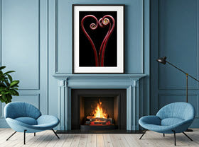 Heart of Fern by David Manzi