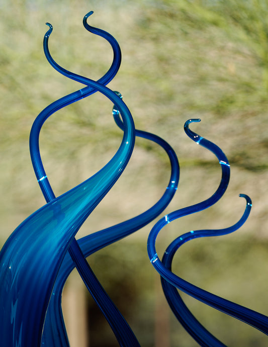 Dance by David Manzi