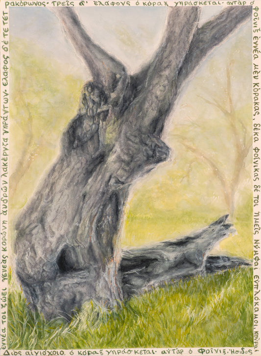 Agoura Phoenix – Contemporary Realism Landscape Art